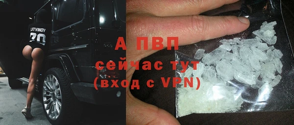 ГАЛЛЮЦИНОГЕННЫЕ ГРИБЫ Лагань