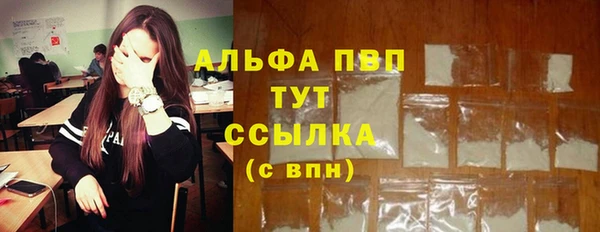ГАЛЛЮЦИНОГЕННЫЕ ГРИБЫ Лагань