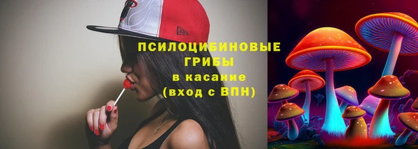 ГАЛЛЮЦИНОГЕННЫЕ ГРИБЫ Лагань