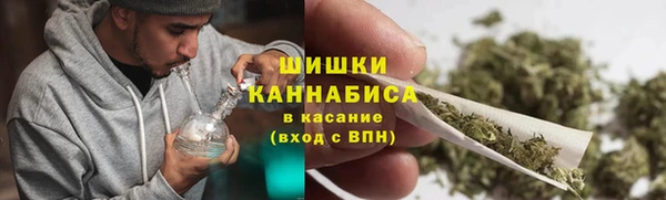 крисы Лабытнанги