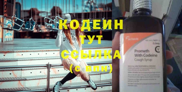 ГАЛЛЮЦИНОГЕННЫЕ ГРИБЫ Лагань