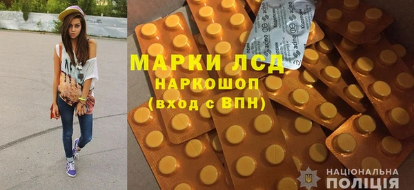 ГАЛЛЮЦИНОГЕННЫЕ ГРИБЫ Лагань