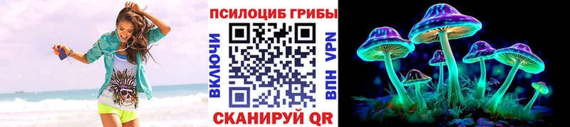 купить  цена  Заринск  Галлюциногенные грибы GOLDEN TEACHER 
