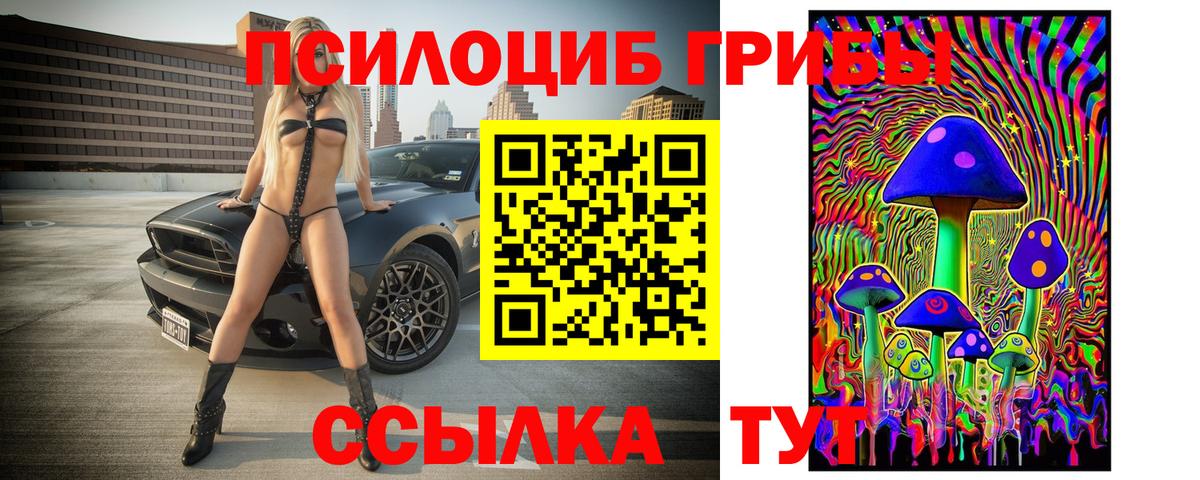 Галлюциногенные грибы Psilocybine cubensis Заринск