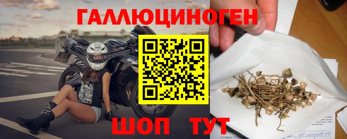 Псилоцибиновые грибы Magic Shrooms  Вход с VPN  Заринск  Псилоцибиновые грибы Psilocybe 