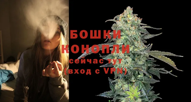 что такое наркотик  Заринск  Марихуана White Widow 